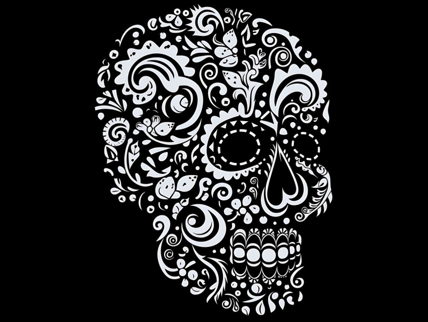 Black and White  Skull Face Head Pop Art Vector Illustrations (119)