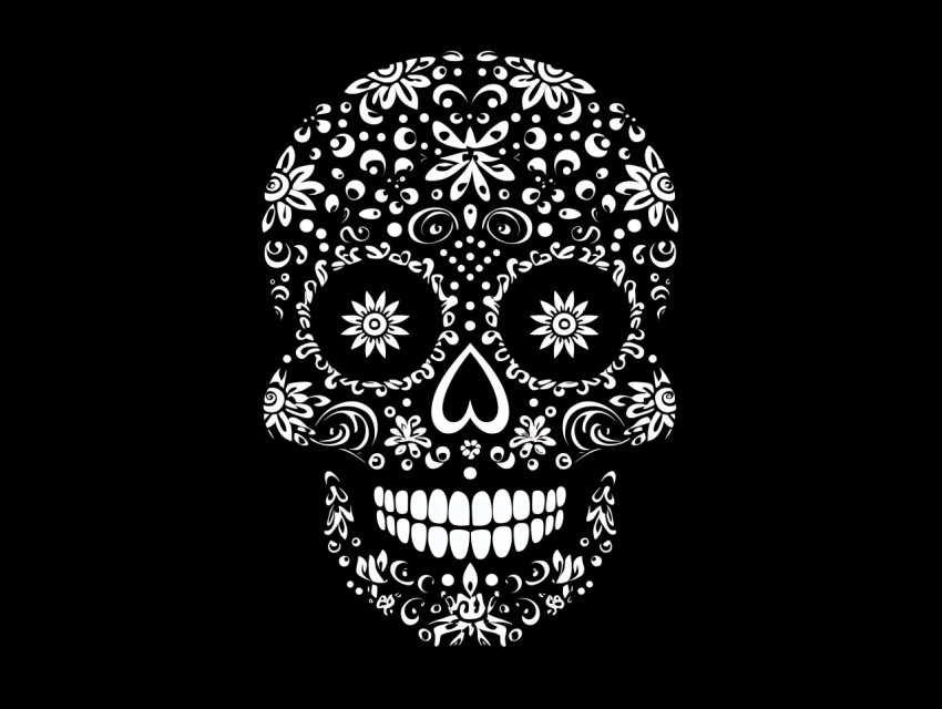 Black and White  Skull Face Head Pop Art Vector Illustrations (200)