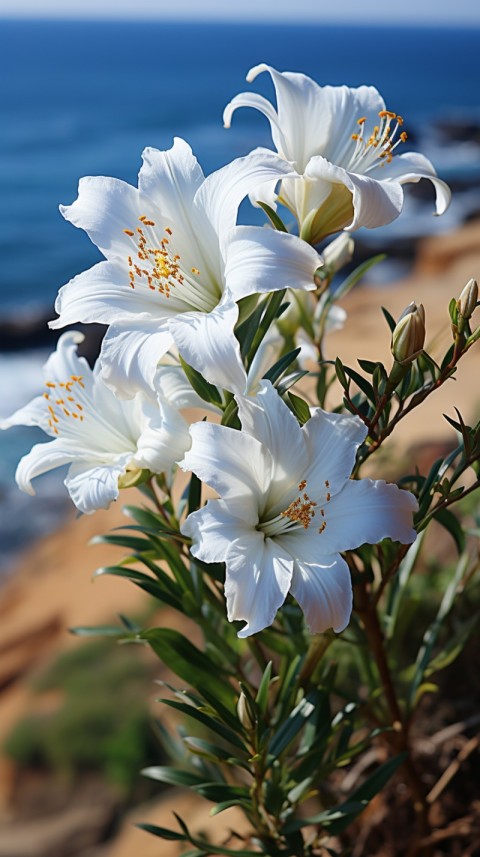 Beautiful White Calm Flower Aesthetics (316)