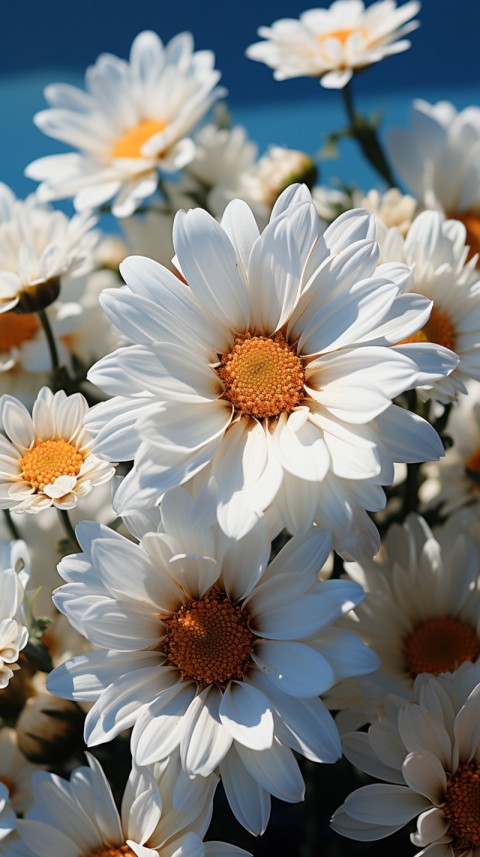 Beautiful White Calm Flower Aesthetics (338)
