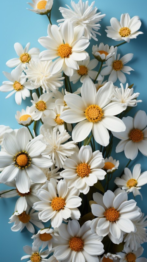 Beautiful White Calm Flower Aesthetics (363)