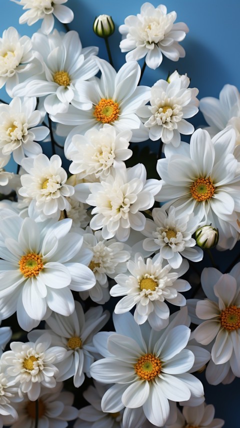 Beautiful White Calm Flower Aesthetics (391)