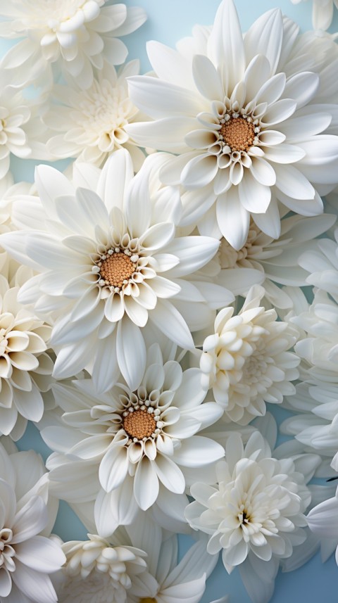 Beautiful White Calm Flower Aesthetics (407)