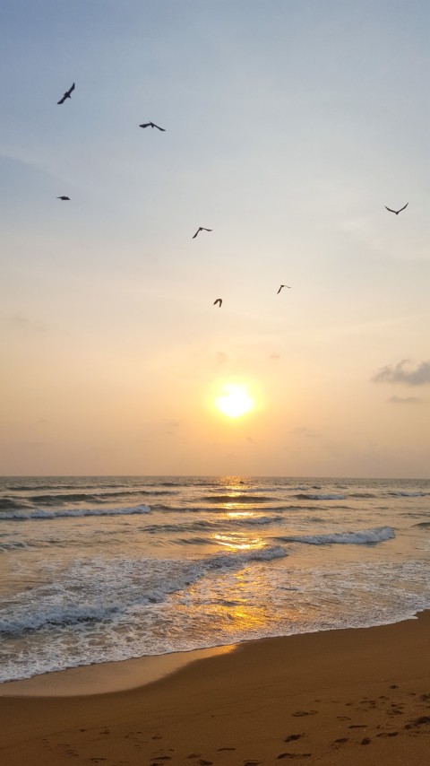 Beautiful Photo of Evening Beach Golden Hour Photography (26)