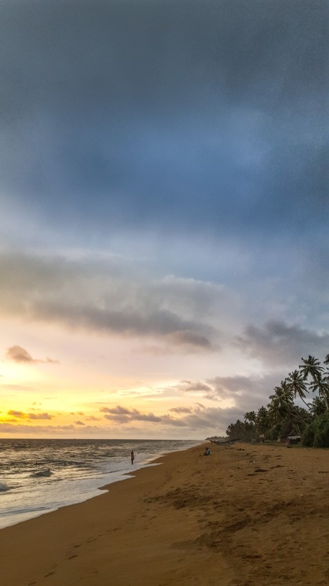 Beautiful Photo of Evening Beach Golden Hour Photography (17)