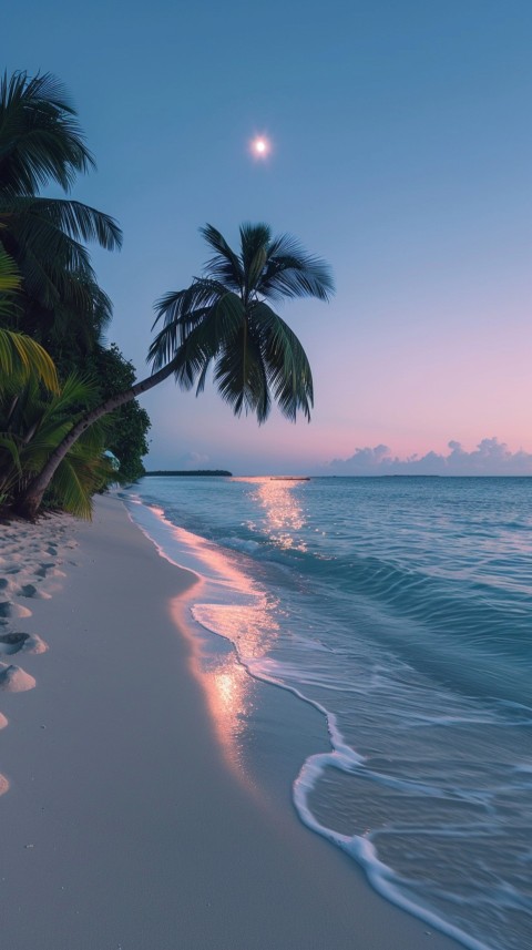 Evening Beach Aesthetic Calm and Relaxing Sea Waves (290)