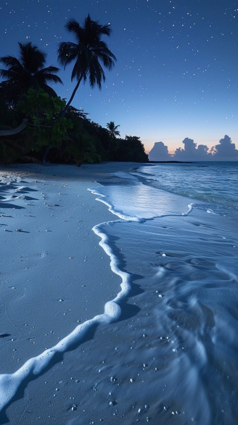 Evening Beach Aesthetic Calm and Relaxing Sea Waves (949)