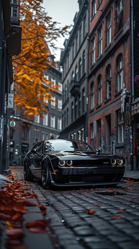 Black Dodge Challenger Car Aesthetics (238)