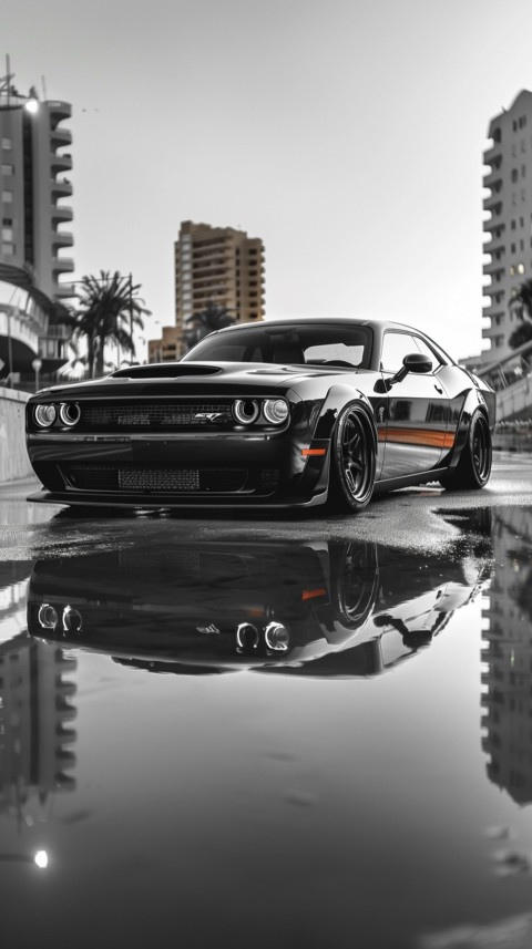 Black Dodge Challenger Car Aesthetics (303)