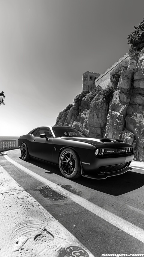 Black Dodge Challenger Car Aesthetics (385)