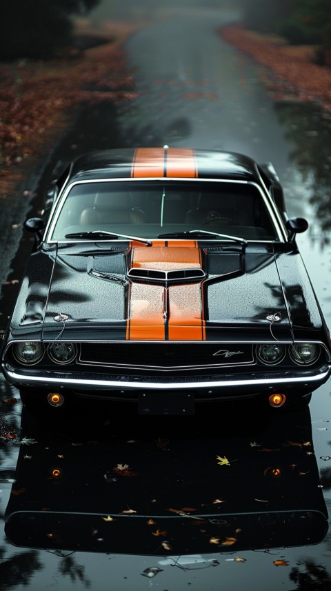 Black Dodge Challenger Car Aesthetics (413)