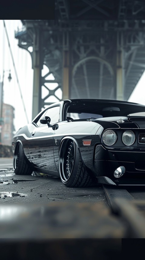 Black Dodge Challenger Car Aesthetics (493)