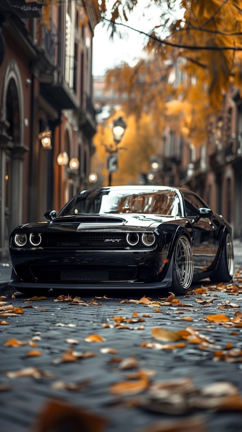 Black Dodge Challenger Car Aesthetics (580)