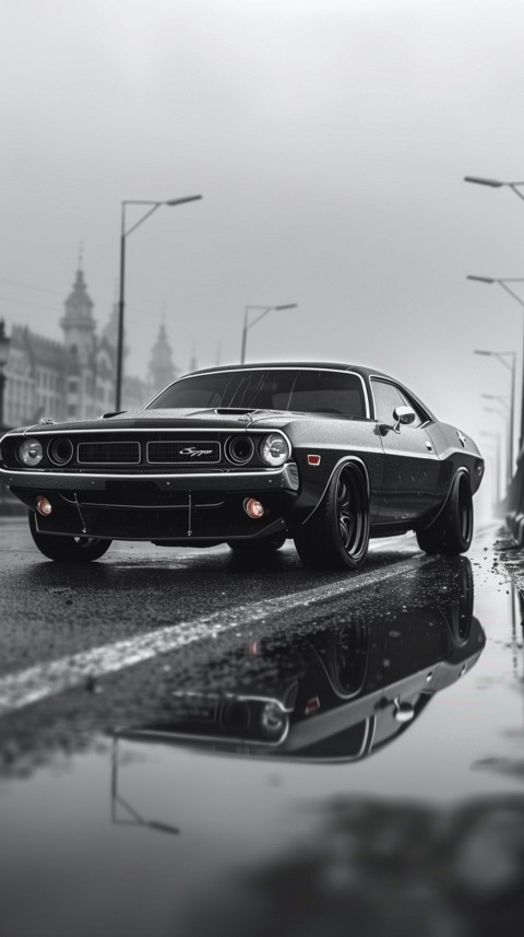 Black Dodge Challenger Car Aesthetics (606)