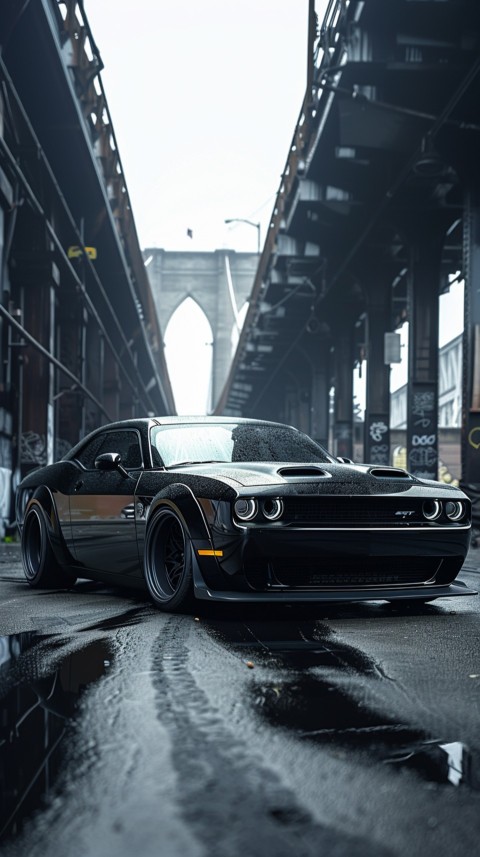 Black Dodge Challenger Car Aesthetics (627)