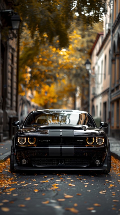 Black Dodge Challenger Car Aesthetics (690)