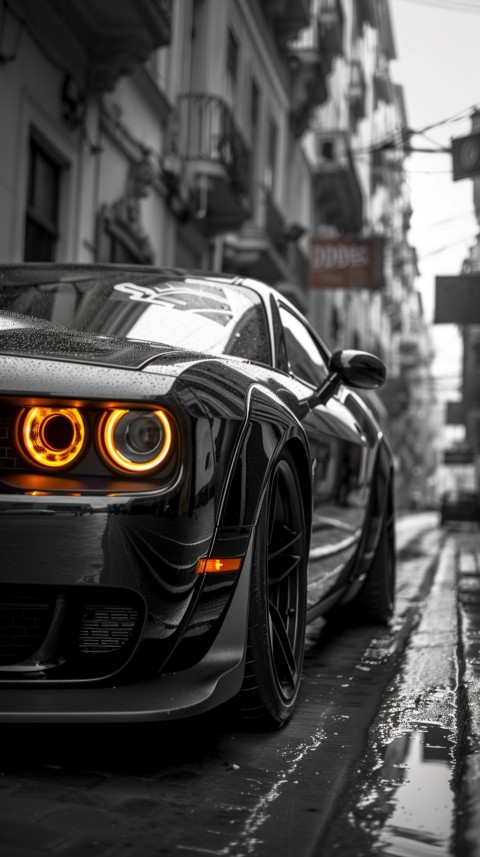 Black Dodge Challenger Car Aesthetics (709)