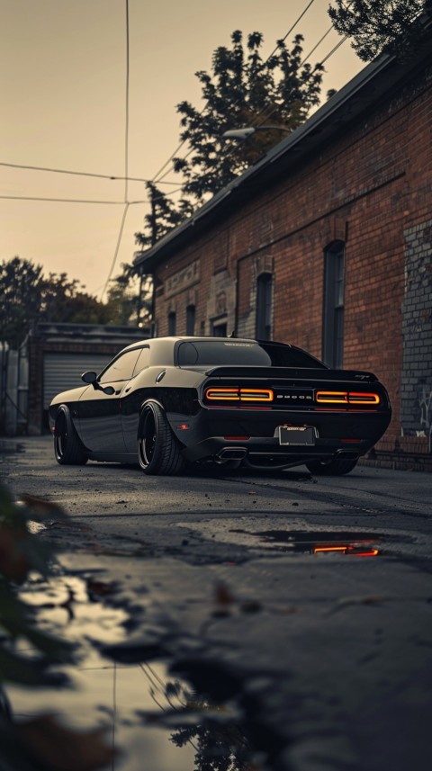 Black Dodge Challenger Car Aesthetics (730)