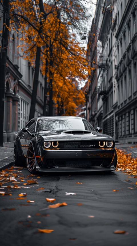 Black Dodge Challenger Car Aesthetics (897)