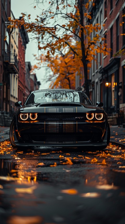 Black Dodge Challenger Car Aesthetics (1008)