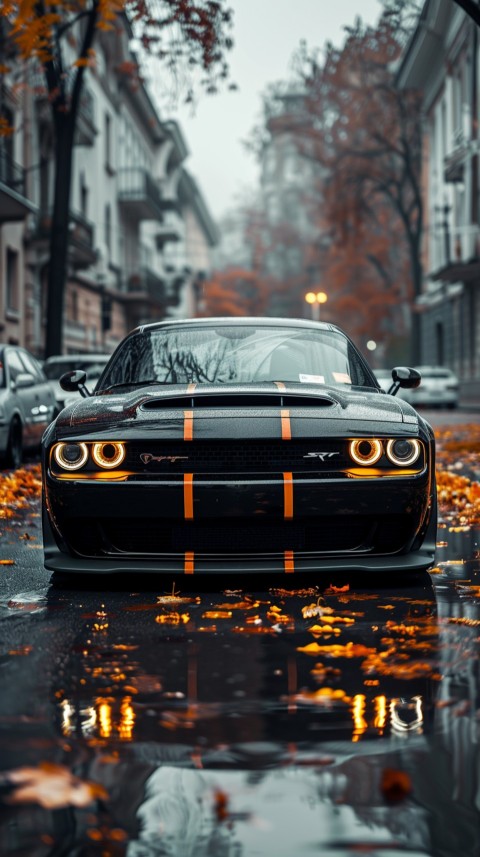 Black Dodge Challenger Car Aesthetics (1041)