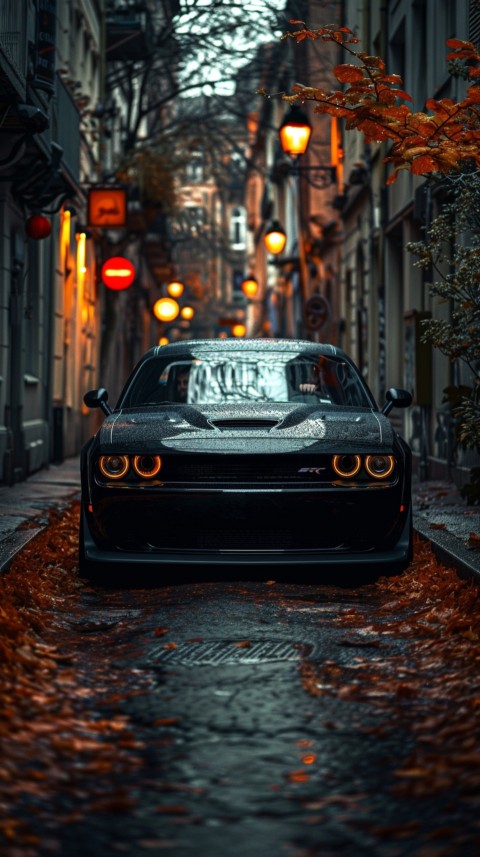 Black Dodge Challenger Car Aesthetics (1067)