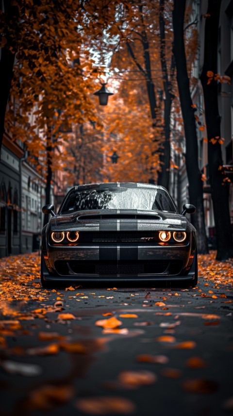 Black Dodge Challenger Car Aesthetics (1119)