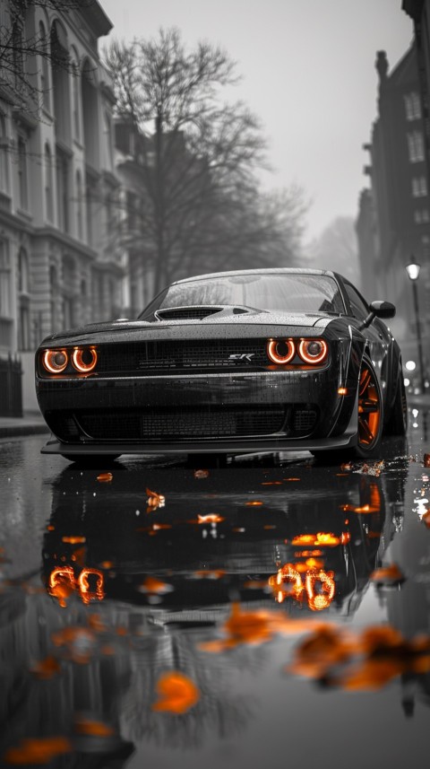 Black Dodge Challenger Car Aesthetics (1204)