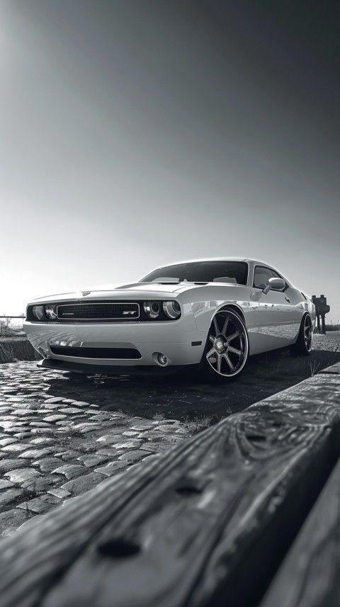 White Dodge Challenger Car Aesthetics (116)