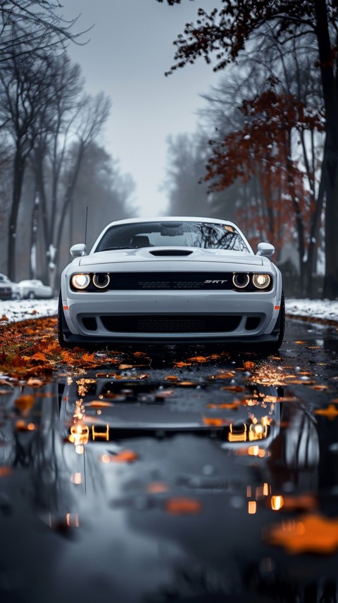 White Dodge Challenger Car Aesthetics (147)