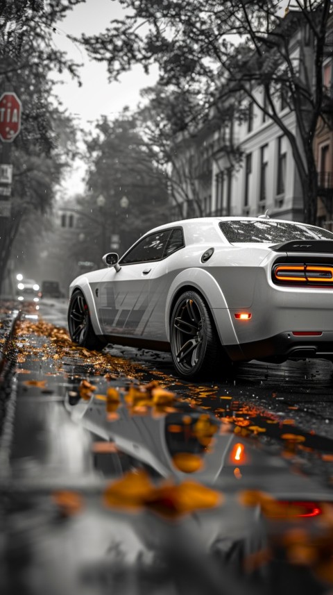 White Dodge Challenger Car Aesthetics (173)