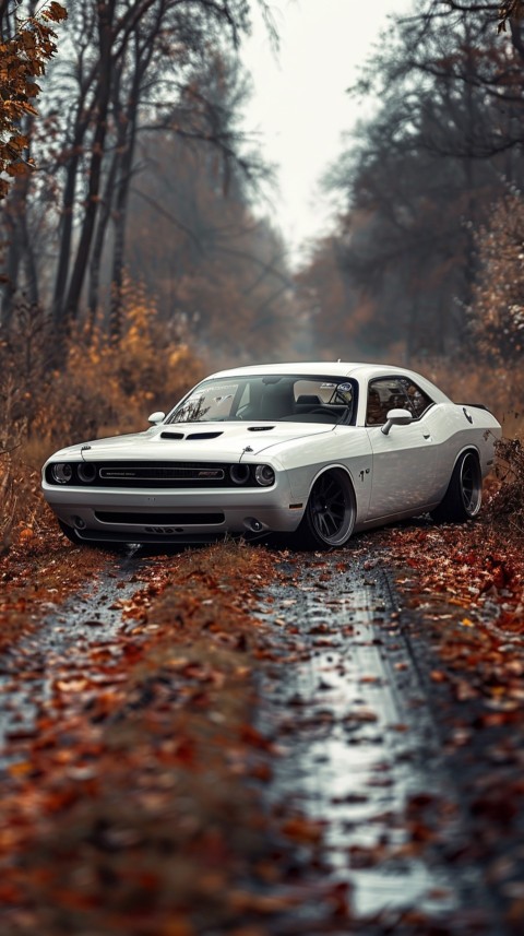 White Dodge Challenger Car Aesthetics (254)