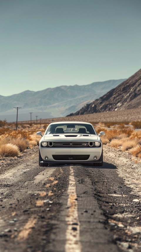 White Dodge Challenger Car Aesthetics (402)