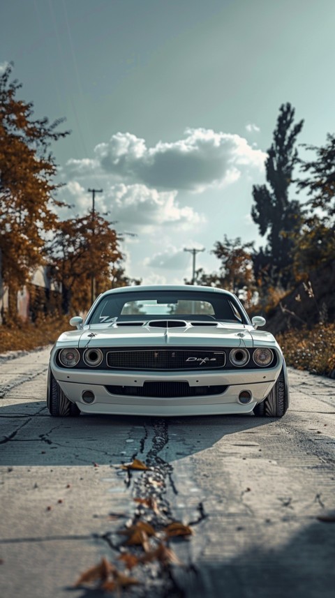 White Dodge Challenger Car Aesthetics (431)