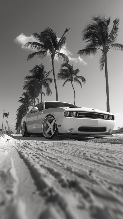 White Dodge Challenger Car Aesthetics (433)