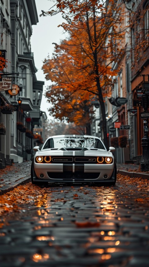 White Dodge Challenger Car Aesthetics (579)