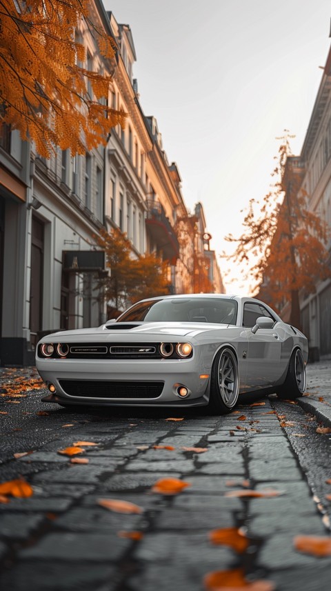 White Dodge Challenger Car Aesthetics (672)