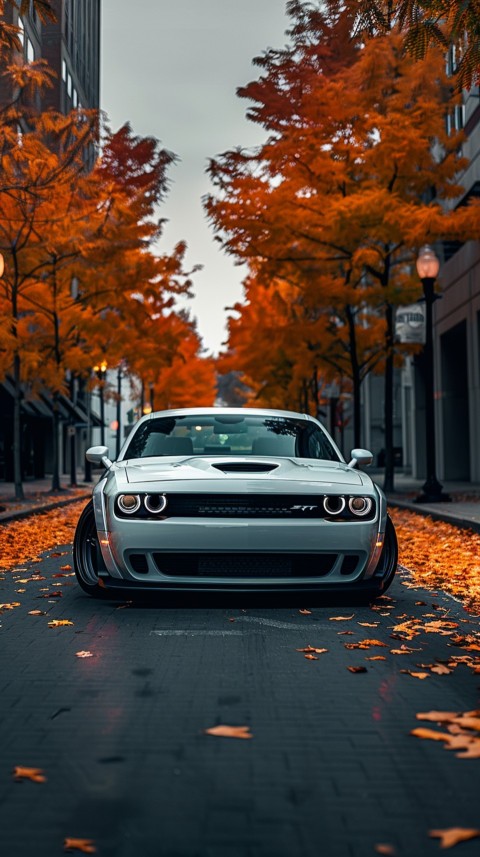 White Dodge Challenger Car Aesthetics (740)