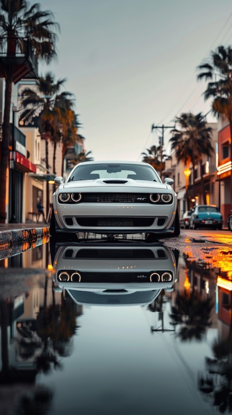 White Dodge Challenger Car Aesthetics (778)