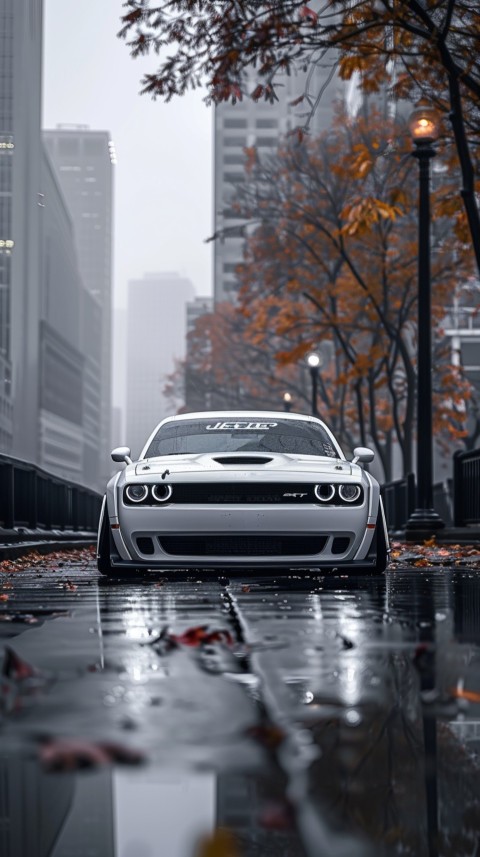 White Dodge Challenger Car Aesthetics (921)