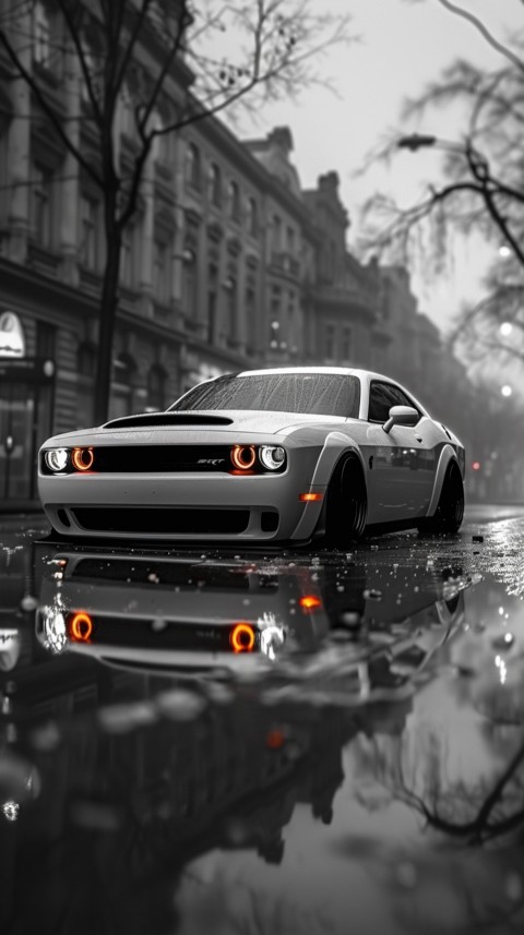 White Dodge Challenger Car Aesthetics (981)