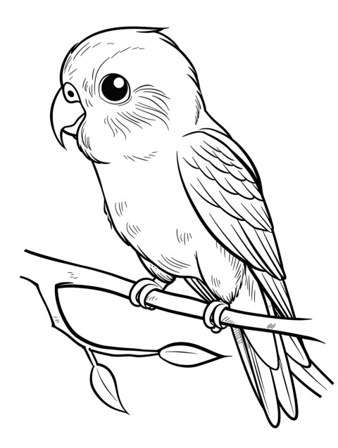 Cute Parrot Coloring Book Pages Simple Hand Drawn Animal illustration Line Art Outline Black and White (41)